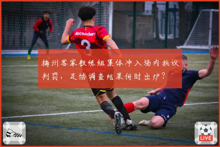 梅州客家教练组集体冲入场内抗议判罚,足协调查结果何时出炉?