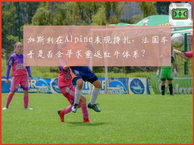 加斯利在Alpine表现挣扎，法国车手是否会寻求重返红牛体系？